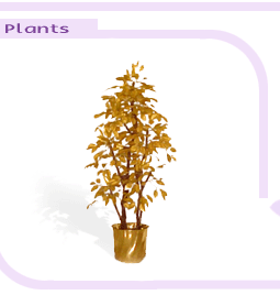 arrplantsbigimage1-5.gif (14473 bytes)