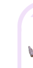 dry1.gif (1653 bytes)
