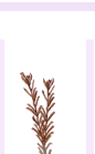 dry5.gif (3072 bytes)