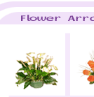 flowerarr2-1.gif (5988 bytes)