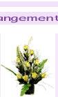 flowerarr2.gif (5664 bytes)
