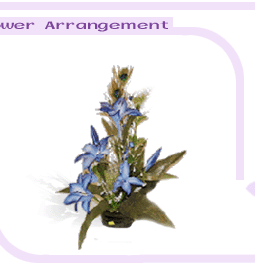 flowerarrangement2-4.gif (16832 bytes)